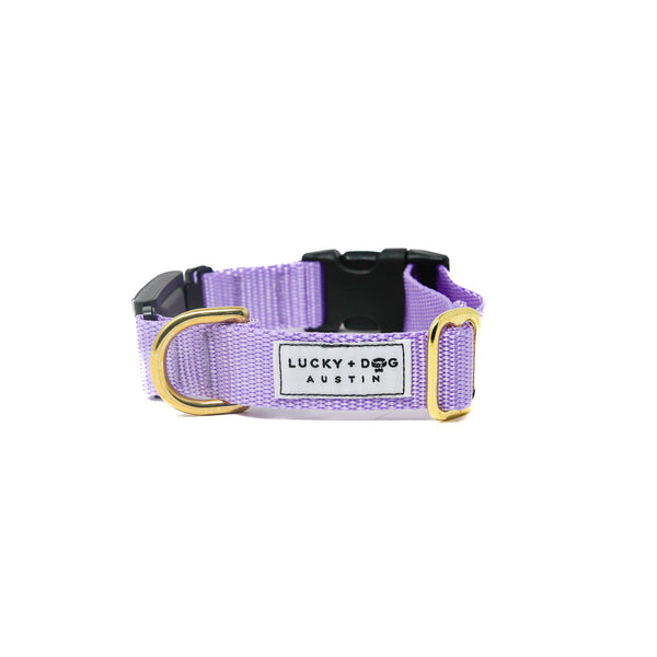 Fi Collar Band - Lavender