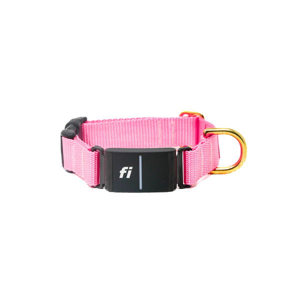 Fi Collar Band - Pink