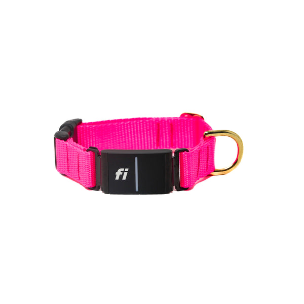 Fi Collar Band - Hot Pink
