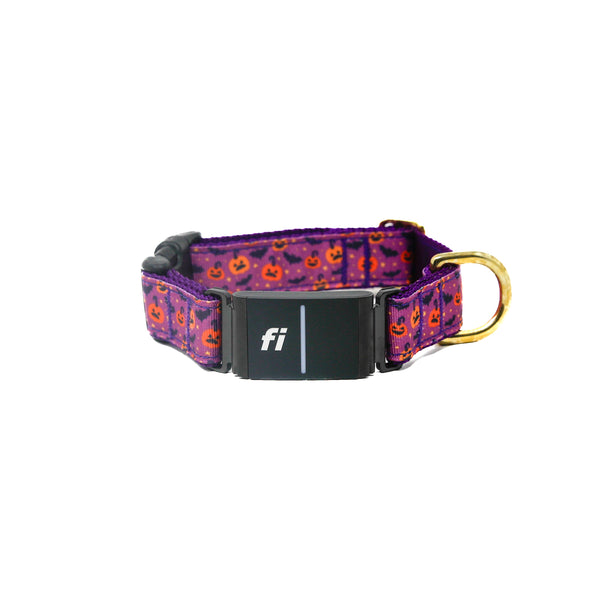 Activewear Fi Collars - Purple Potion