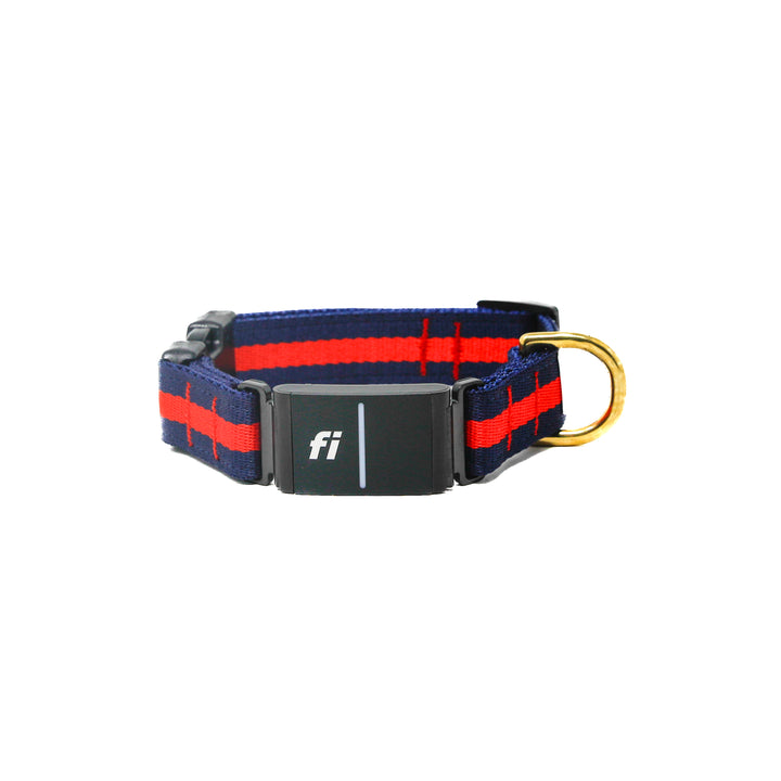 Fi GPS Striped Collar Bands – LUCKY + DOG AUSTIN