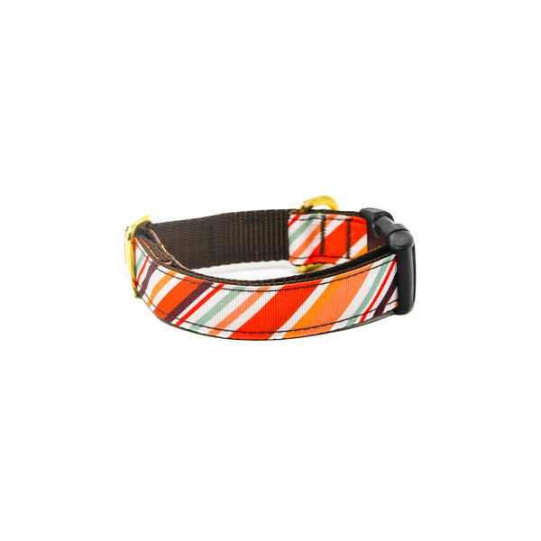 Activewear Collars - Oak Pup