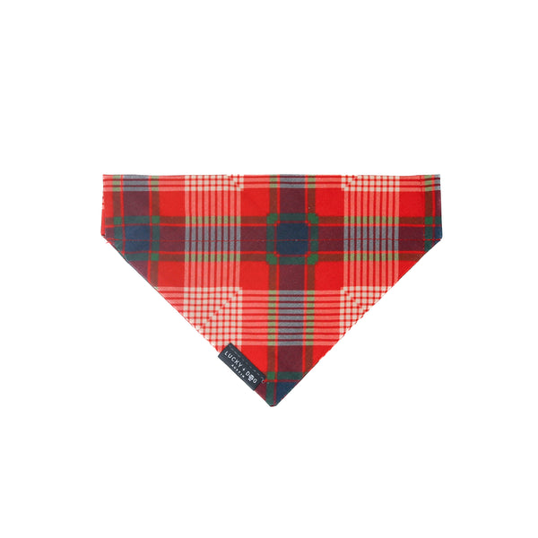 Everyday 6 ft Leash - Tartan Tail