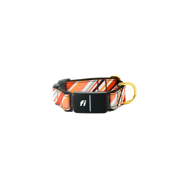 Activewear Fi Collars - Oak Pup