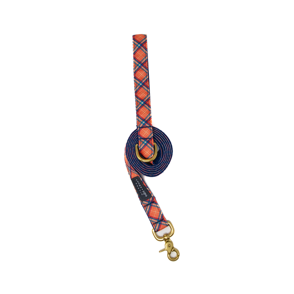 Fi Collar Band - Pumpkin Spice