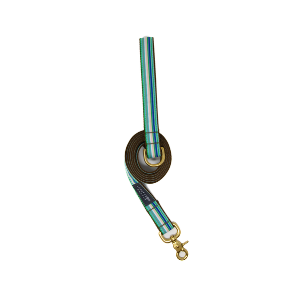 6 ft. Leash - Coastal Cabana
