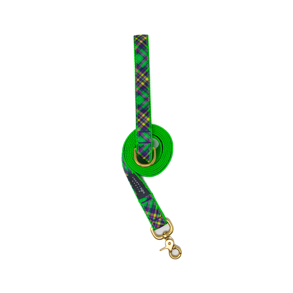 6 ft Leash - Lucky Limelight