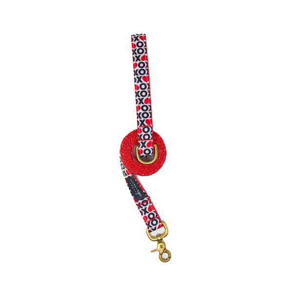 Fi Collar Band - Lots of Love