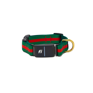 Fi Collar Band - Goochie  Fi Collar Band - Goochie