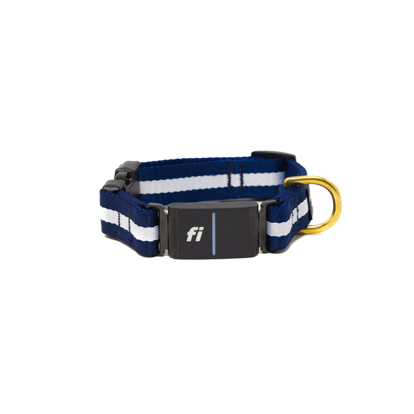 Fi Collar Band - Sapphire