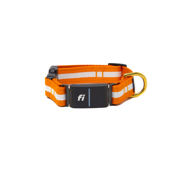 Fi Collar Band - Orange Crush