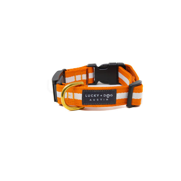 Fi Collar Band - Orange Crush