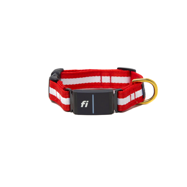 Fi Collar Band - Crimson