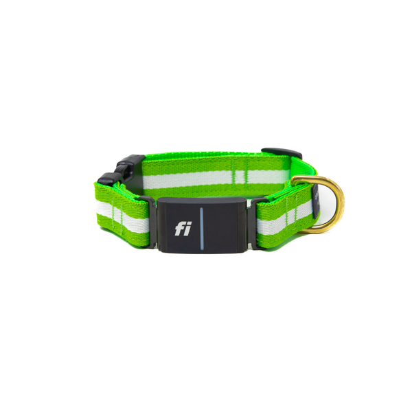 Fi Collar Band - Limeade