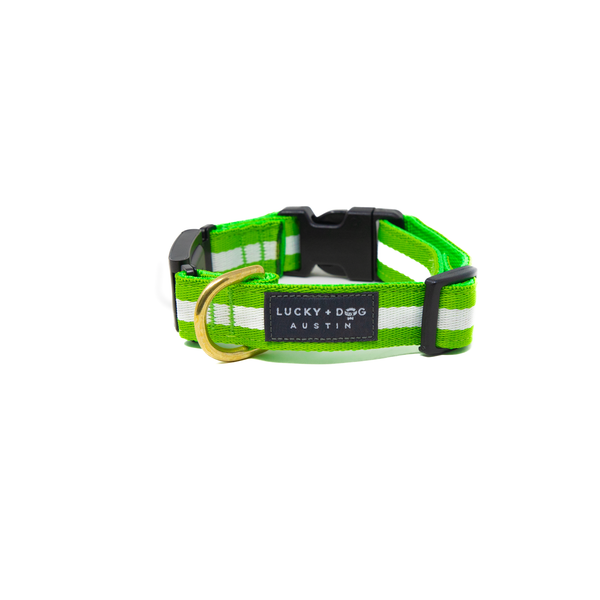 Fi Collar Band - Limeade
