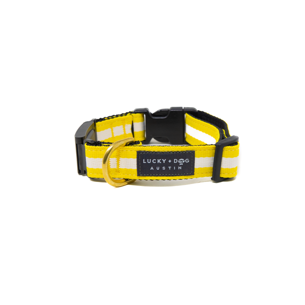 Fi Collar Band - The Yellow Jacket