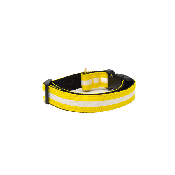 Activewear - Yellow Jacket