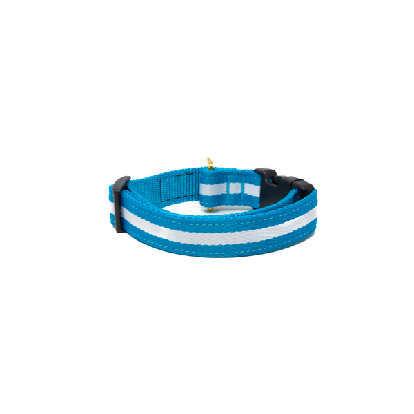 Activewear -  Azul