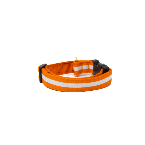 Activewear - Orange Crush