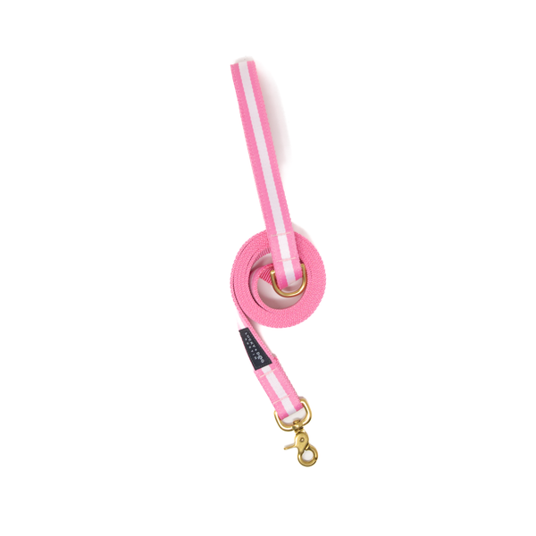 Fi Collar Band - Bubble Gum