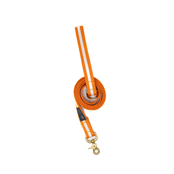 Fi Collar Band - Orange Crush