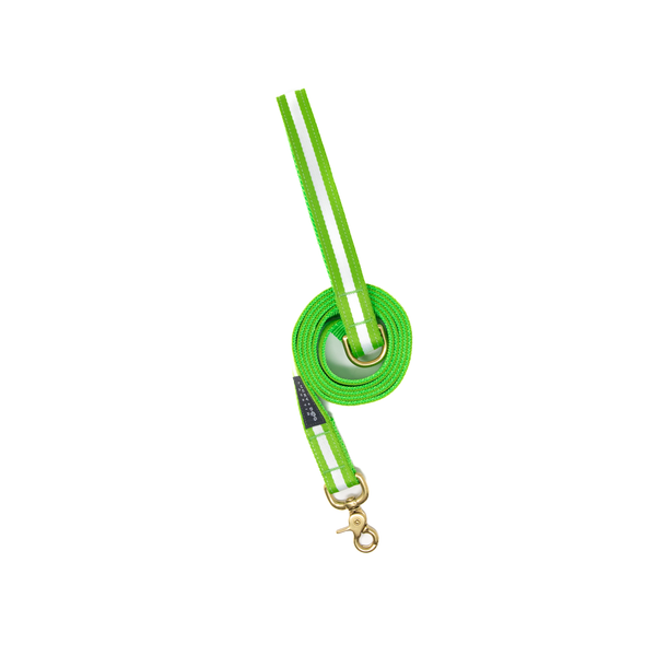 Fi Collar Band - Limeade