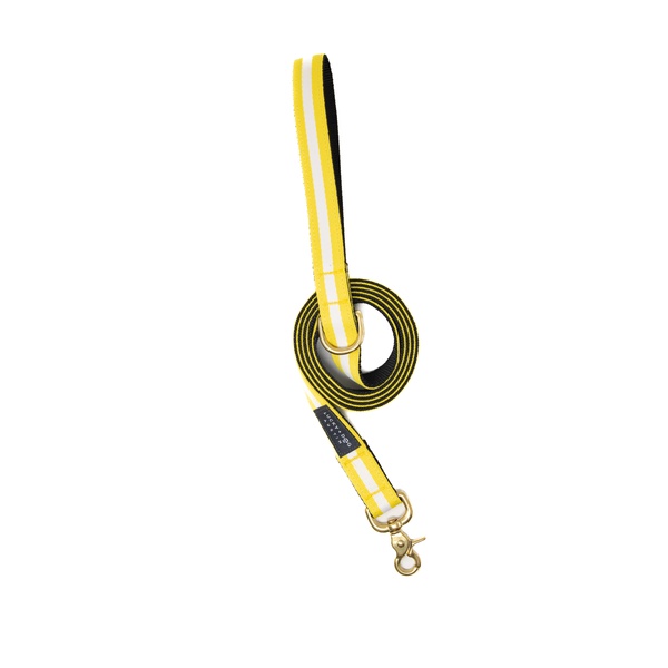 Activewear - Yellow Jacket