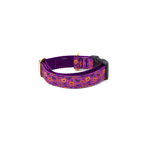 Activewear - Purple Potion  Activewear - Purple Potion