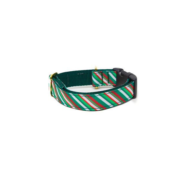 Activewear - Wonderland Stripe