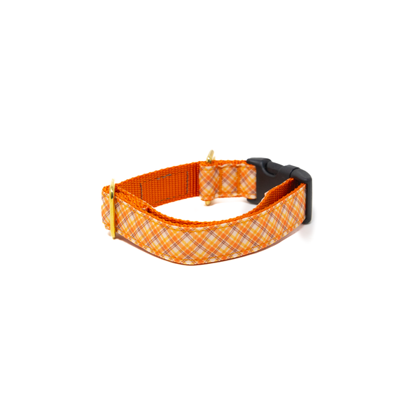 Activewear - Golden Harvest