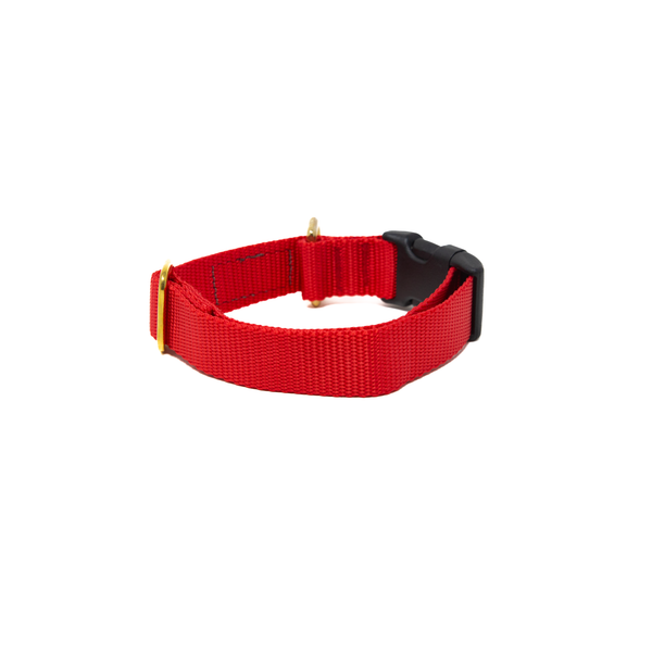Activewear - Bright Red  