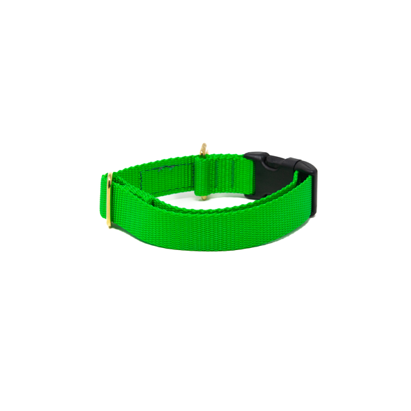 Activewear - Bright Green
