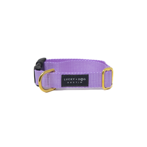 SNAP COLLARS – LUCKY + DOG AUSTIN SNAP COLLARS – LUCKY + DOG AUSTIN