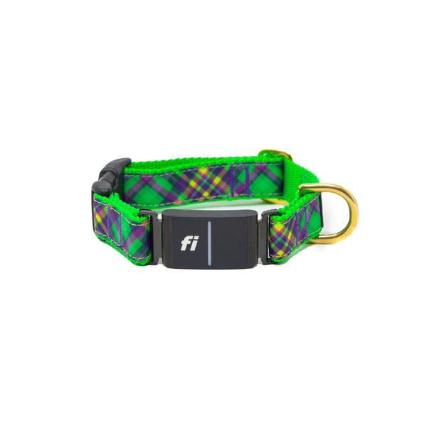 Fi Collar Band - Lucky Limelight  Fi Collar Band - Lucky Limelight