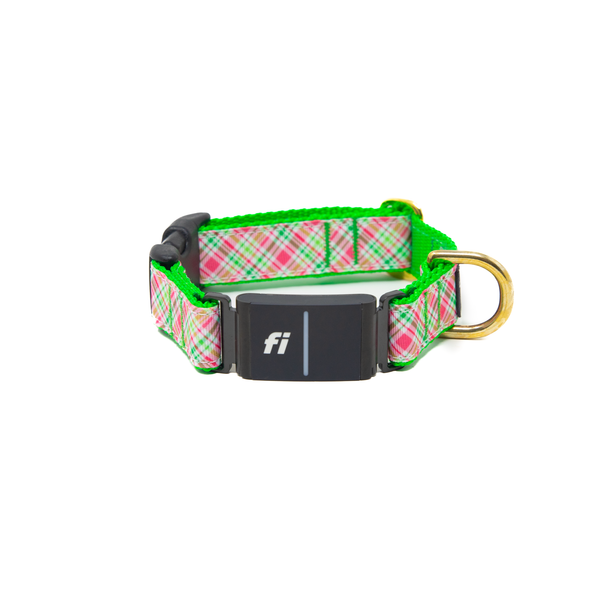 Fi Collar Band - Picnic Plaid