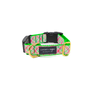 Fi Collar Band - Picnic Plaid  
