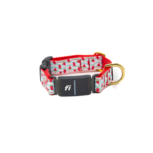 Fi Collar Band - Popsicle Paradise  Fi Collar Band - Popsicle Paradise