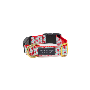 Fi Collar Band - Popsicle Paradise  Fi Collar Band - Popsicle Paradise