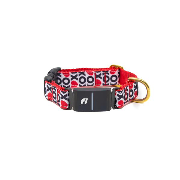 Fi Collar Band - Lots of Love
