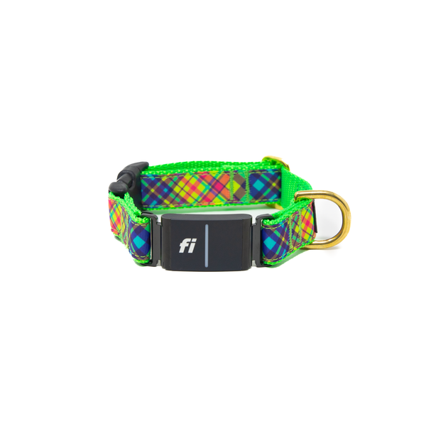Fi Collar Band - Ice Cream Zoomies  