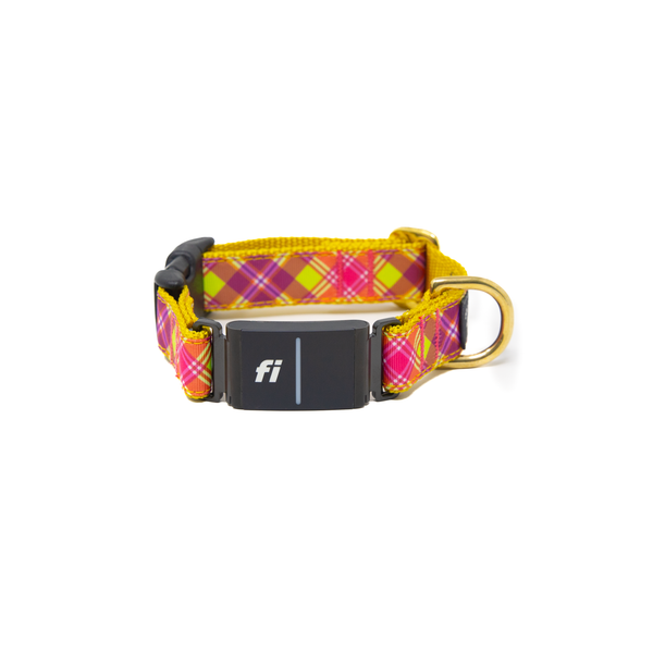 Fi Collar Band - Firefly Nights  Fi Collar Band - Firefly Nights