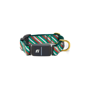 Fi Collar Band - Wonderland Stripe  