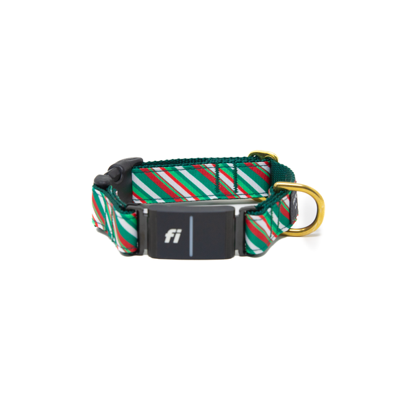 Fi Collar Band - Wonderland Stripe  