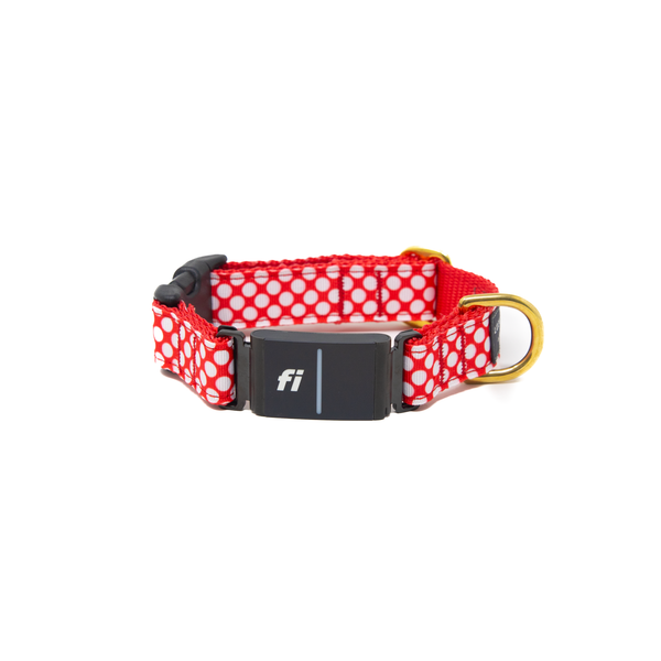 Fi Collar Band- Peppermint Polkadots