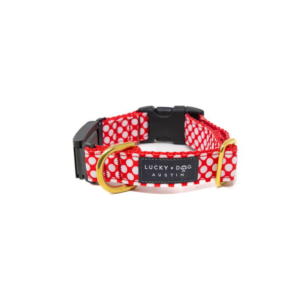 Fi Collar Band- Peppermint Polkadots