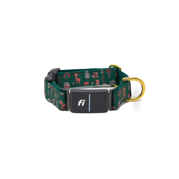 Fi Collar Band - Woodland Winter