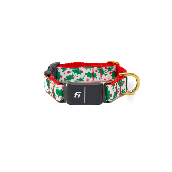 Fi Collar Band - Holly