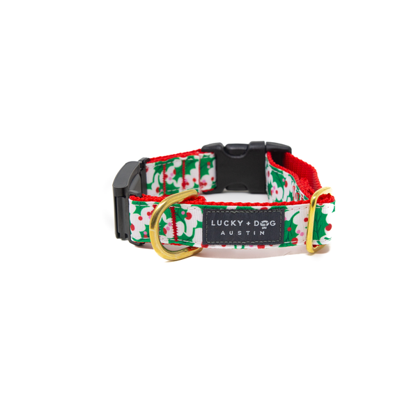 Fi Collar Band - Holly