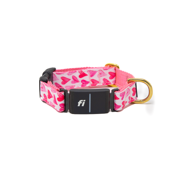 Fi Collar Band - Watercolor Hearts