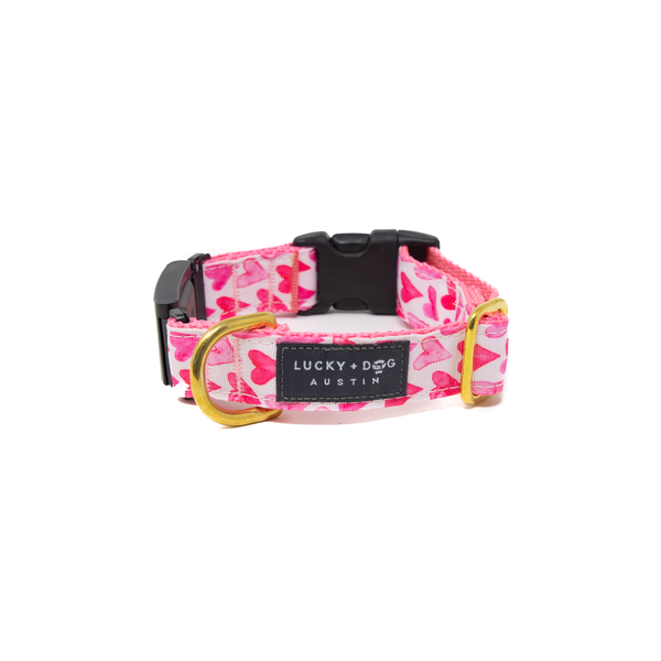 Fi Collar Band - Watercolor Hearts